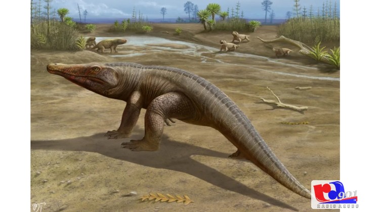 A dinossauro Rosa, uma história inédita